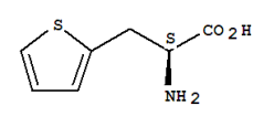 L-3-(2-Thienyl)alanine