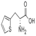 D-3-(2-噻吩)丙氨酸