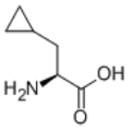 L-Cyclopropylalanine